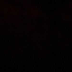 Meet your Posher, Darrell